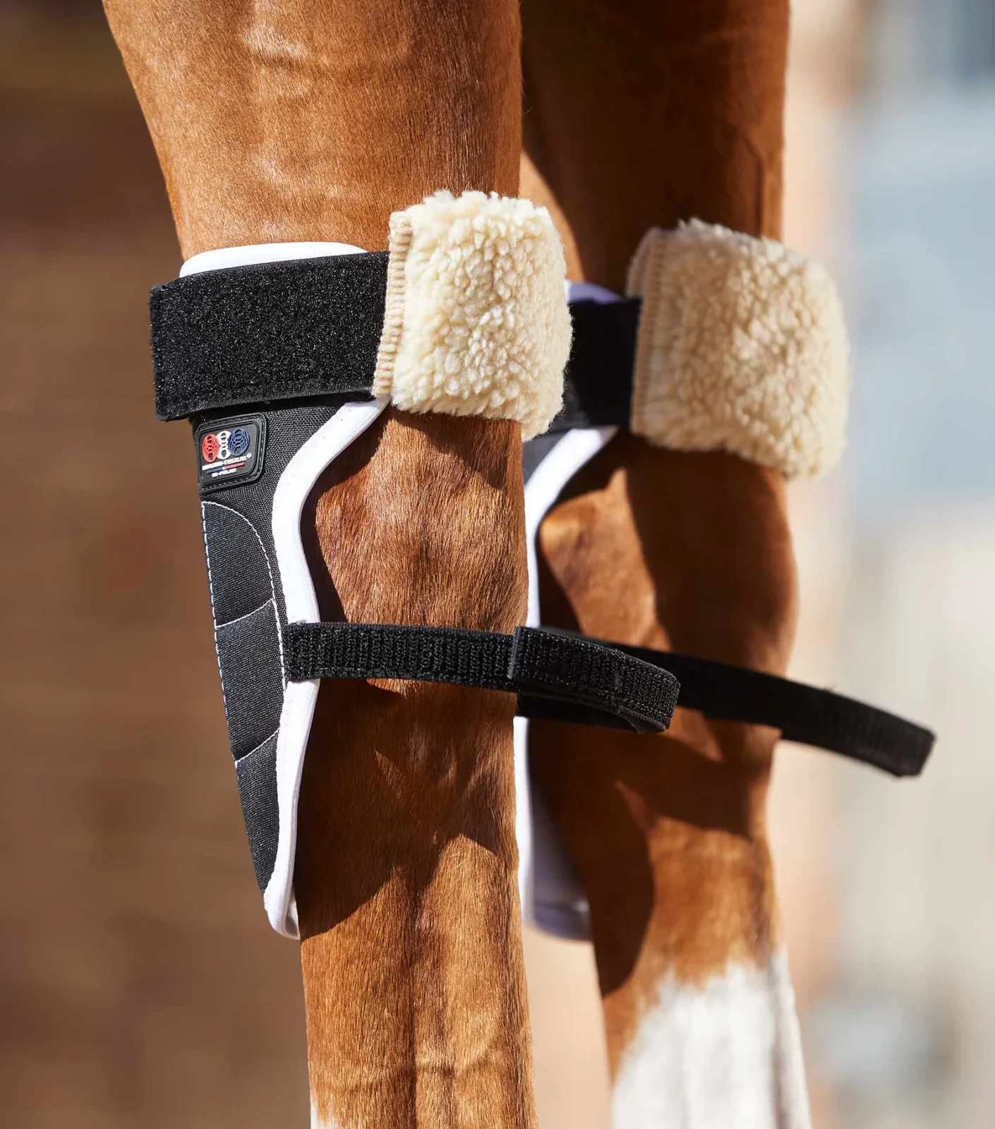 Premier Equine Magni-Teque Magnetic Knee Boots - Image 6