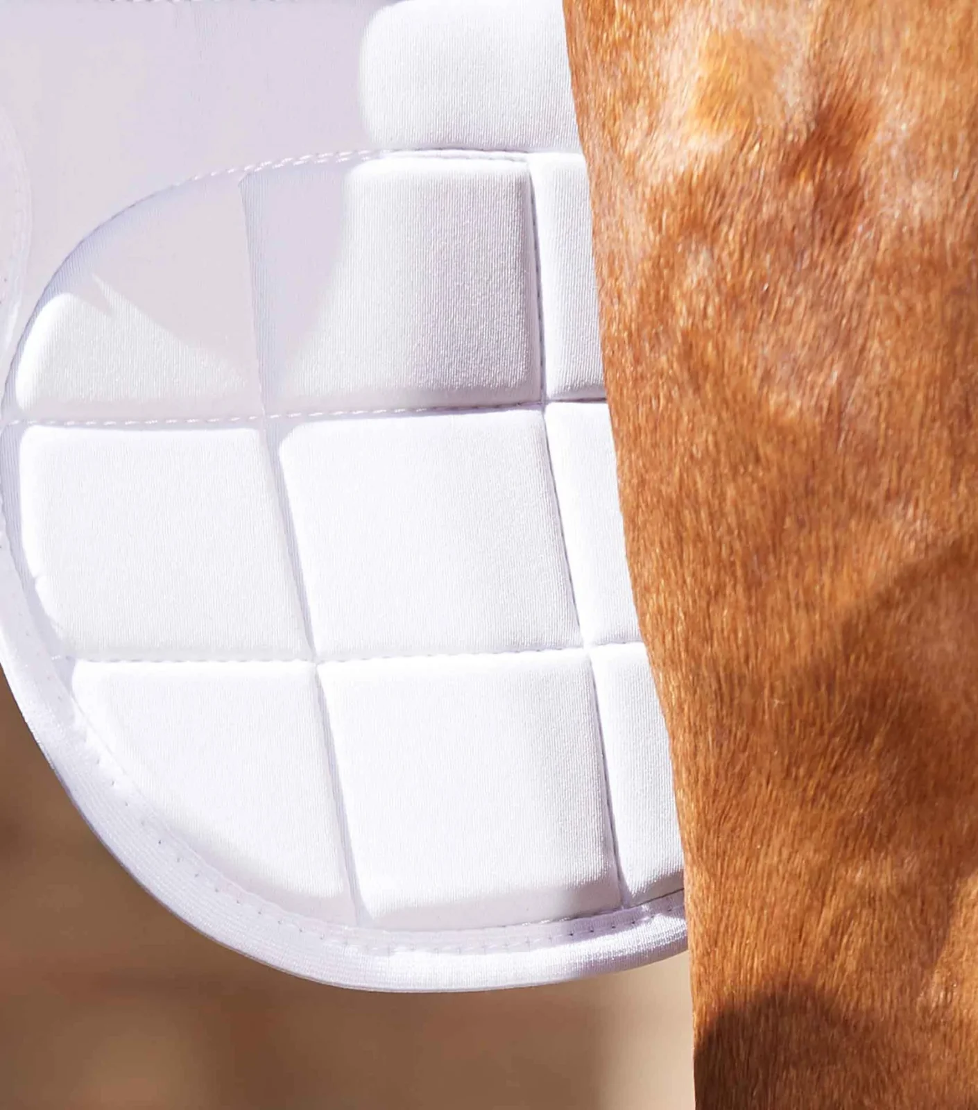 Premier Equine Magni-Teque Magnetic Knee Boots - Image 5
