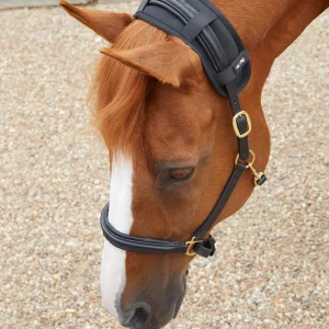 Premier Equine Magni-Teque Magnetic Poll Band