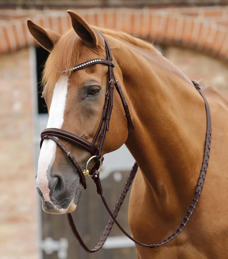 Premier Equine Pietro Laced Reins - Image 2