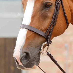 Premier Equine Primo Hunter Cavesson Noseband