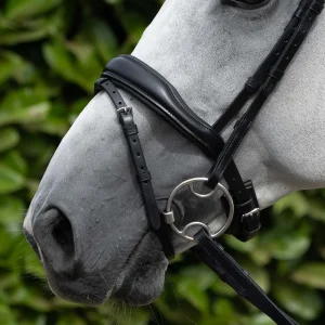 Premier Equine Rizzo Anatomic Flash Noseband