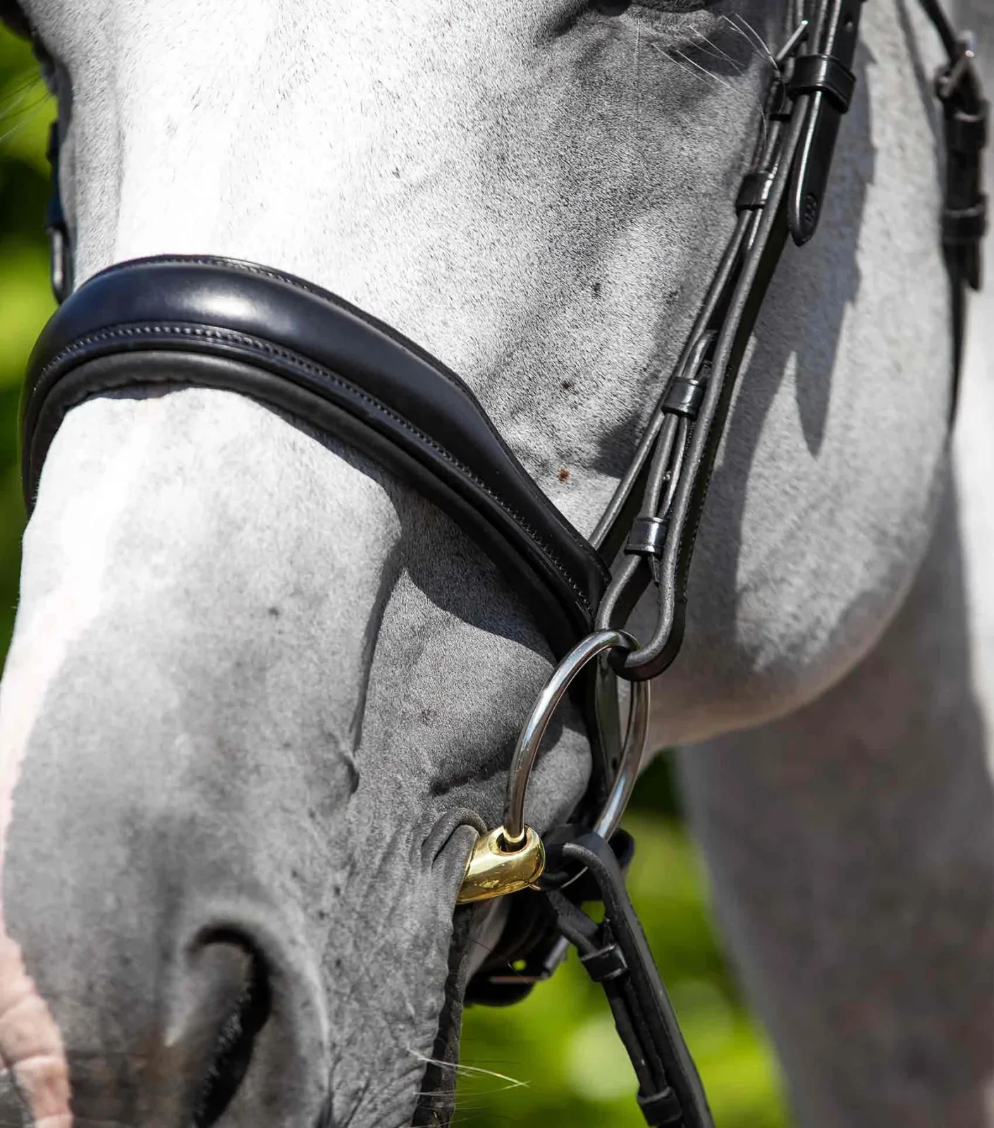 Premier Equine Verdura Anatomic Cavesson Noseband - Image 2
