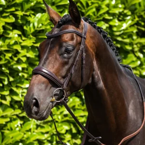 Premier Equine Liscio Plain Shaped Leather Browband