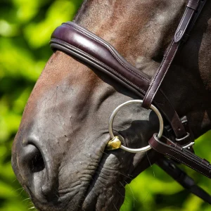 Premier Equine Verdura Anatomic Cavesson Noseband