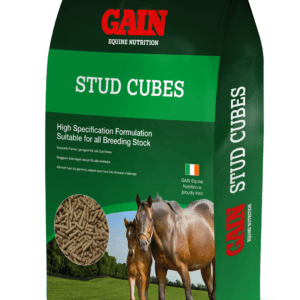 gain stud cubes 25kg