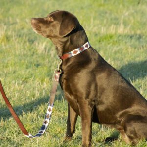Benji & Flo Sublime Polo Leather Dog Lead/Collar