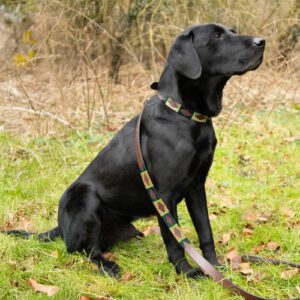 Benji & Flo Sublime Polo Leather Dog Collar