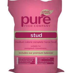 pure feed company pure stud