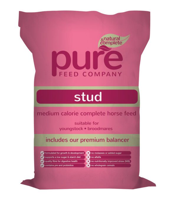 pure feed company pure stud