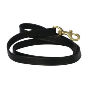 Benji & Flo Deluxe Padded Leather Dog Lead