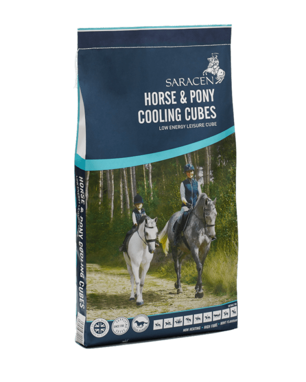 Saracen Horse & Pony Cooling Cubes 20kg