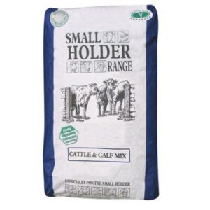 Cattle Feed
