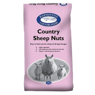 Sheep Feed
