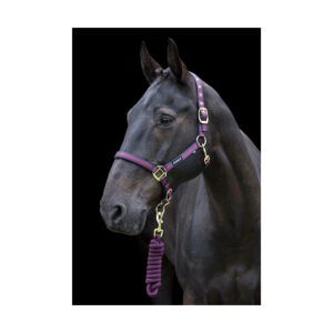 Cameo Core Collection Headcollar and Rope