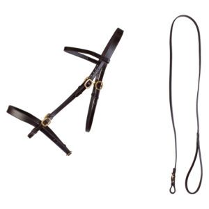 Cameo Inhand Bridle And Lead