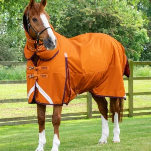 Premier Equine Buster Storm 200g Combo Turnout Rug with Classic Neck