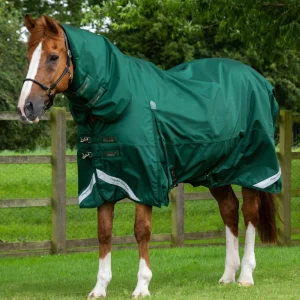Premier Equine Buster Storm 220g combo turnout rug