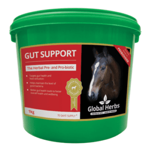 Global Herbs Gut Support 1kg