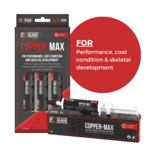 Foran Copper-Max Paste Syringe 