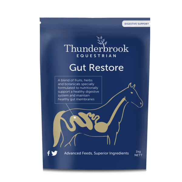 Thunderbrook Equestrian Gut Restore