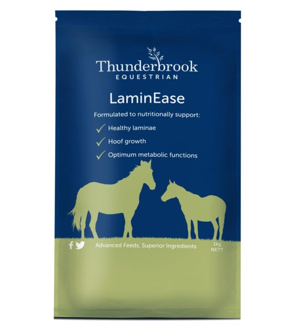 Thunderbook Equestrian Laminease 1kg