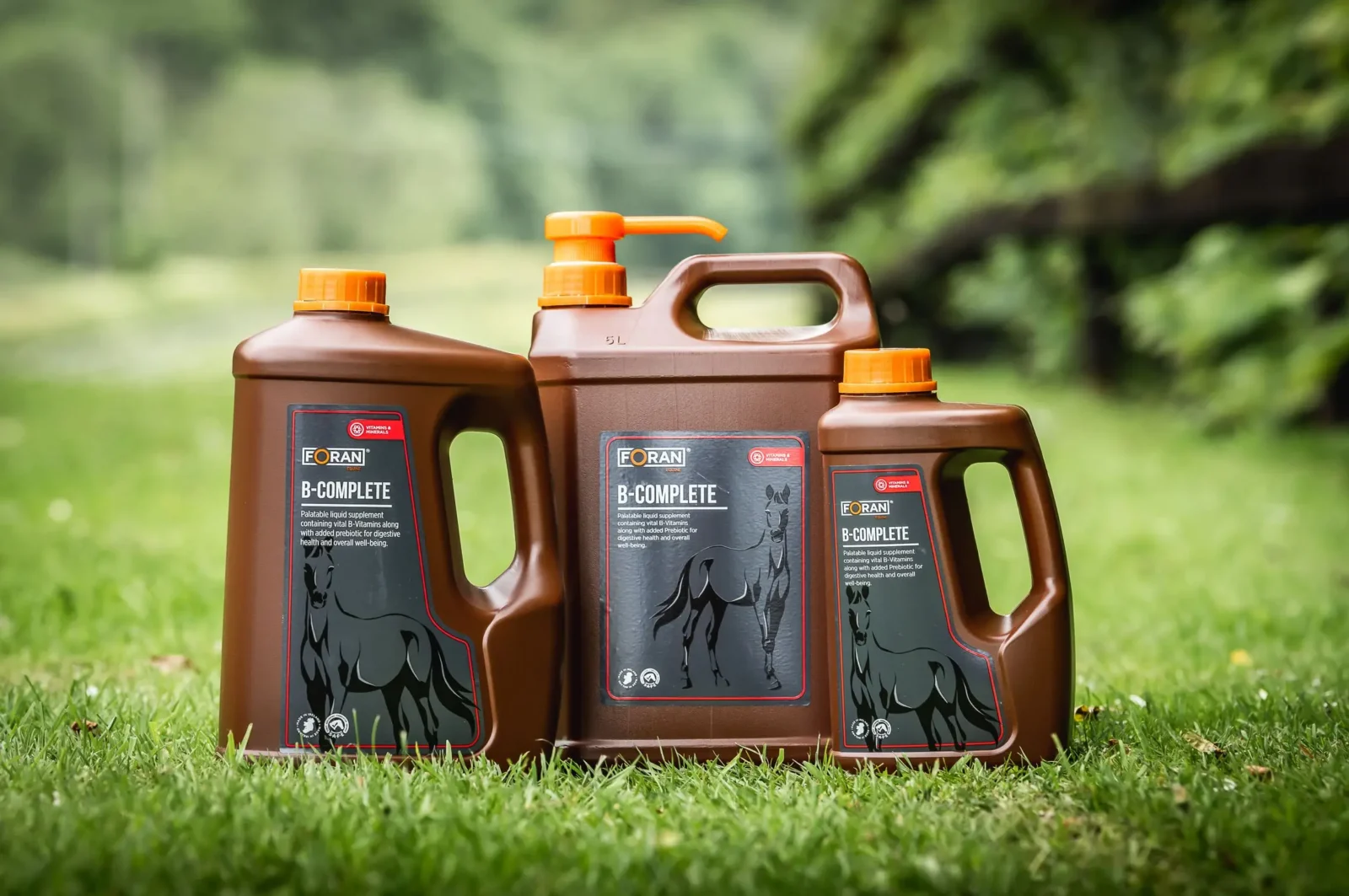 Horse Supplements