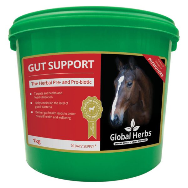 Global Herbs Gut Support  