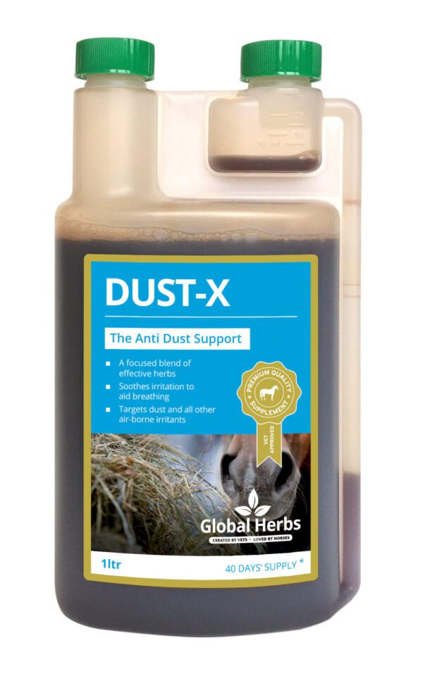 Global Herbs Dust-X Syrup 1 Litre