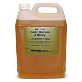 Gold Label Garlic Glucose & Honey 3kg
