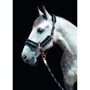 HKM Head Collar Rosegold