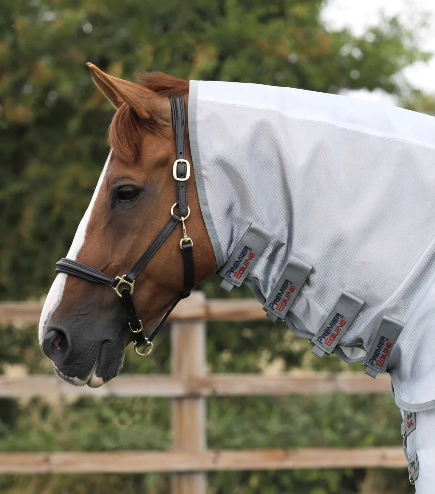 Premier Equine Super Lite Fly Rug - Image 2