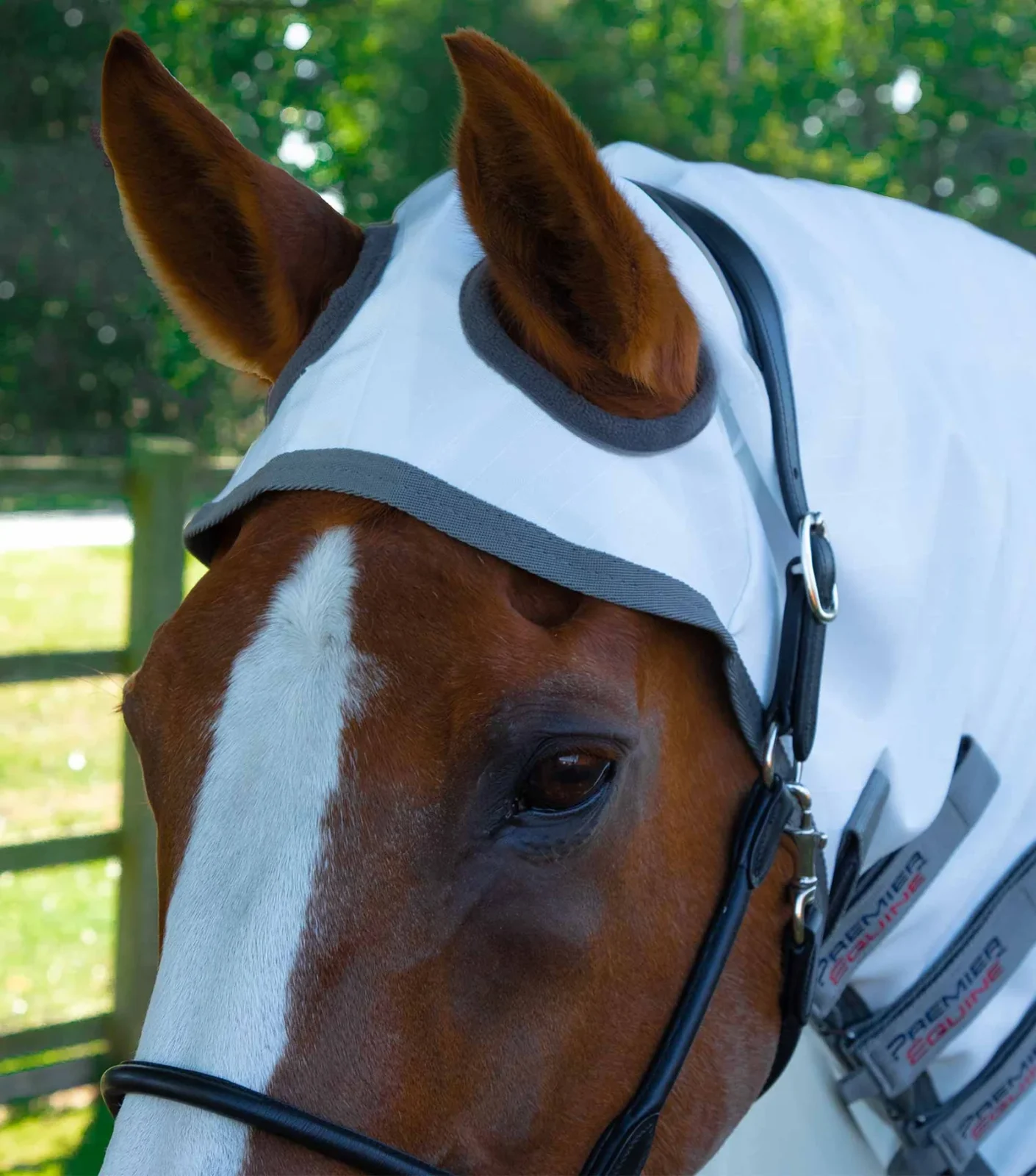 Premier Equine Sweet Itch Fly Rug - Image 2