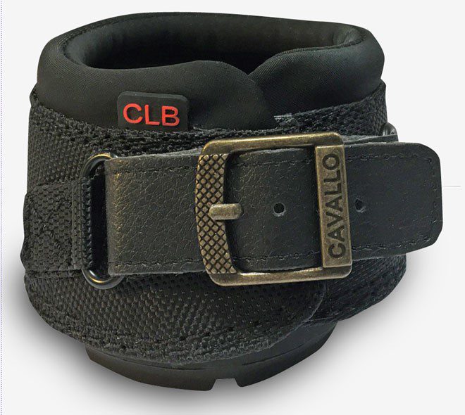 Cavallo Boot Buckle Strap - Image 3