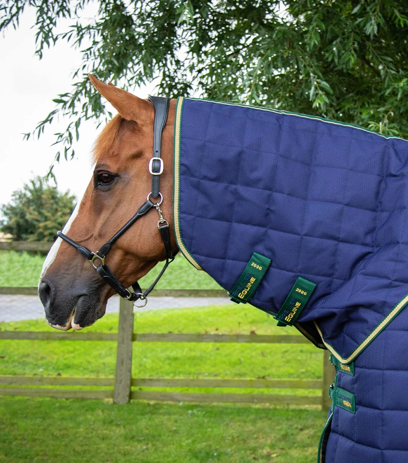 Premier Equine Stable 450g with Neck Cover -Lucanta - Image 4