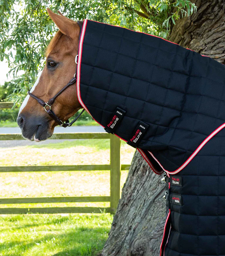 Premier Equine Stable 450g with Neck Cover -Lucanta - Image 3