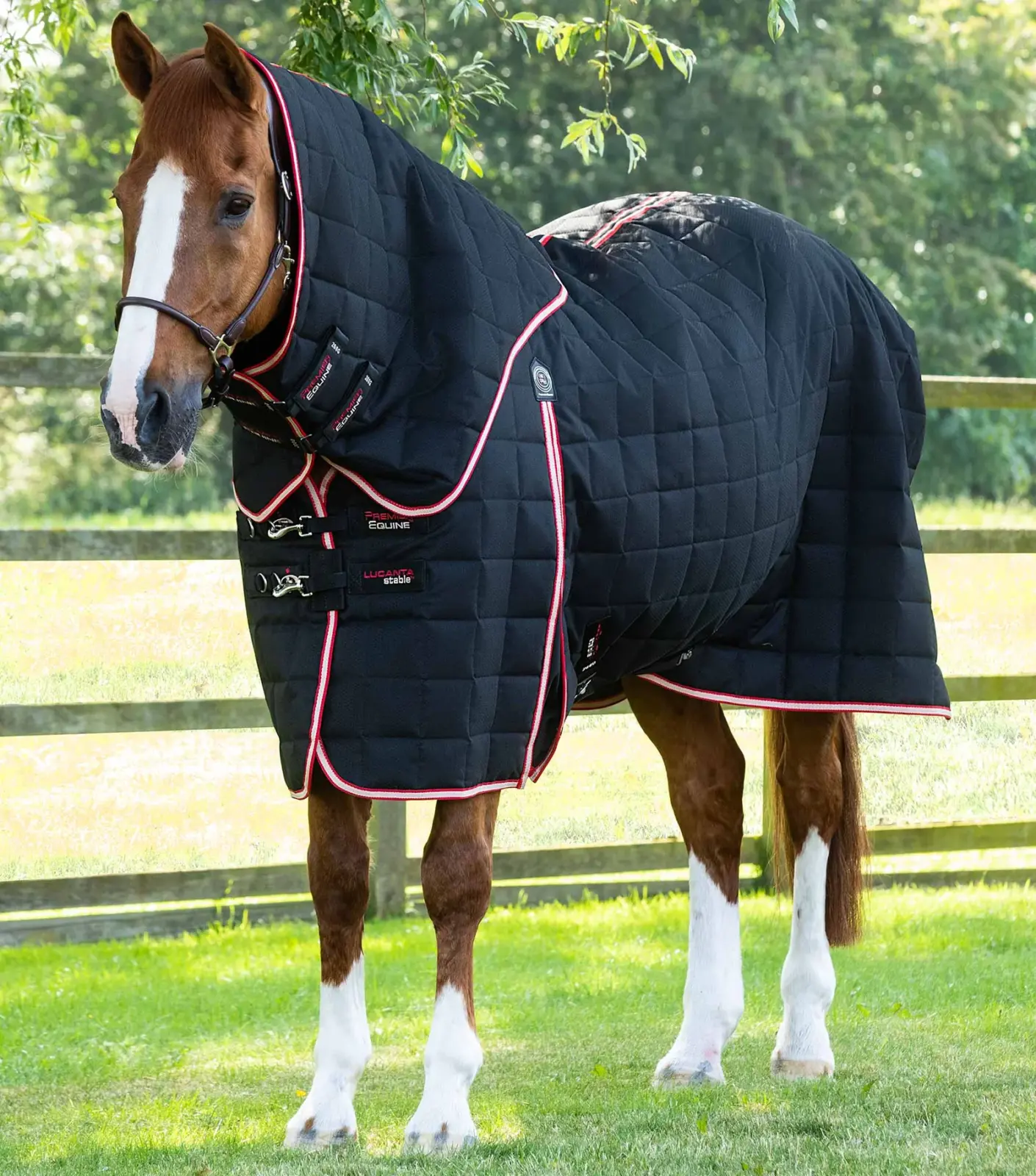 Premier Equine Stable Rug 200g with Neck Cover -Lucanta - Image 2