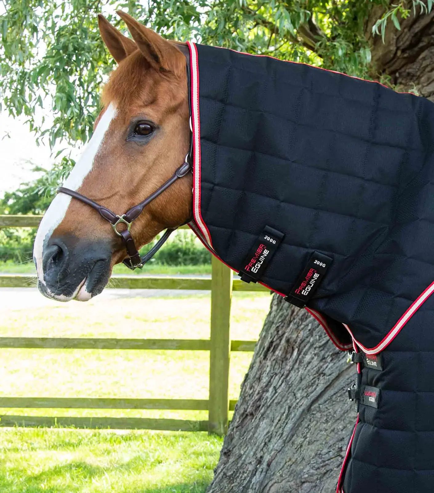 Premier Equine Stable Rug 200g with Neck Cover -Lucanta - Image 4