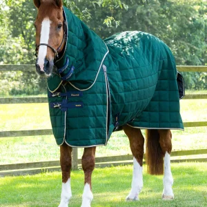 Premier Equine Stable 200g with Neck Cover -Lucanta