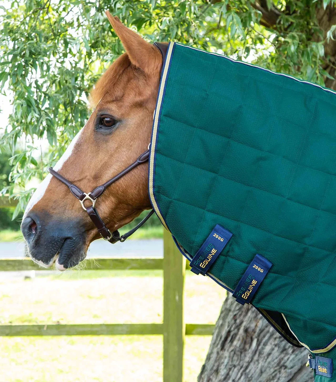 Premier Equine Stable Rug 200g with Neck Cover -Lucanta - Image 3
