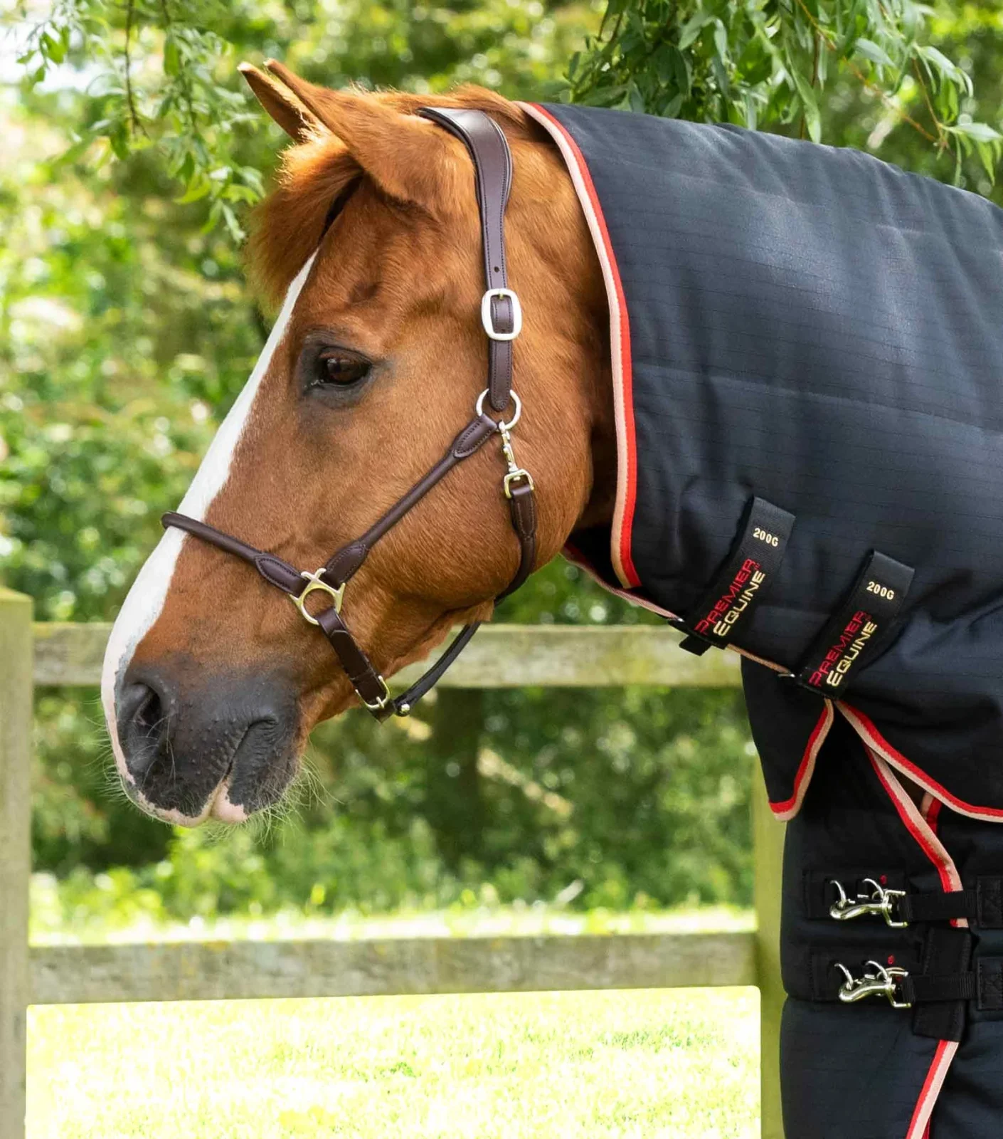 Premier Equine 200g Stable Rug with Neck Cover -Buster - Image 2