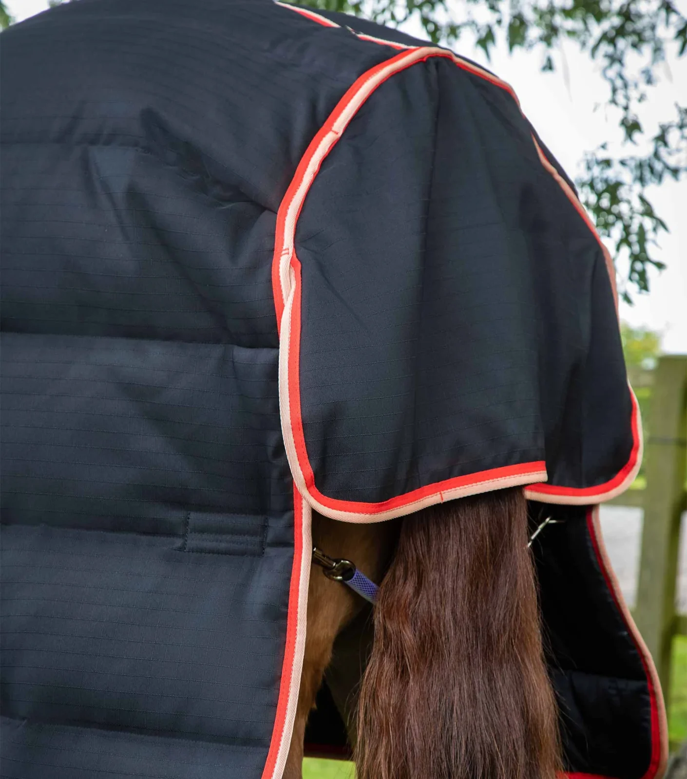 Premier Equine 200g Stable Rug with Neck Cover -Buster - Image 6