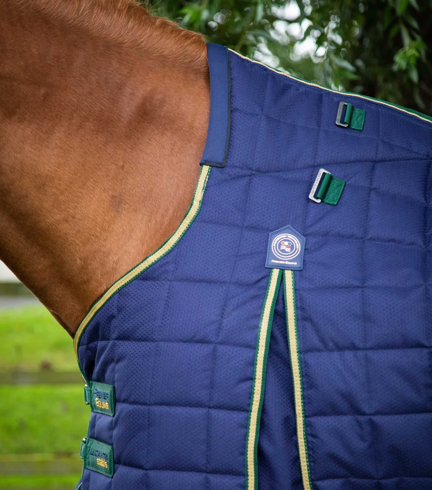 Premier Equine Stable 450g with Neck Cover -Lucanta - Image 8