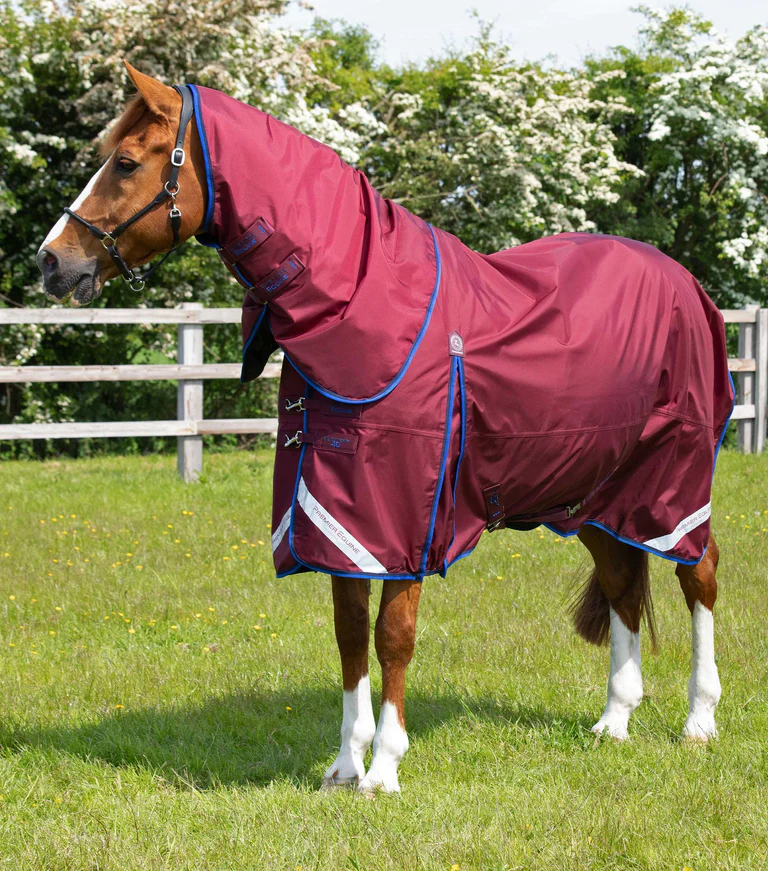 Premier Equine 40g Turnout Rug with Classic Neck Cover -Buster - Image 3