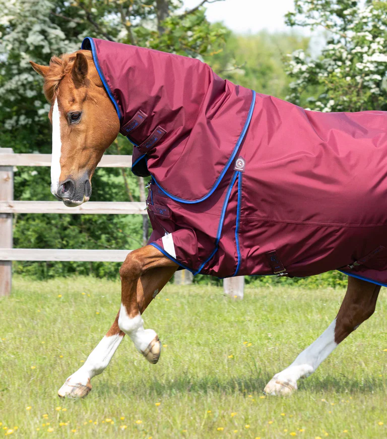 Premier Equine 40g Turnout Rug with Classic Neck Cover -Buster - Image 2