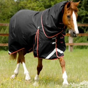 Premier Equine 100g Turnout Rug with Snug-Fit Neck Cover -Buster