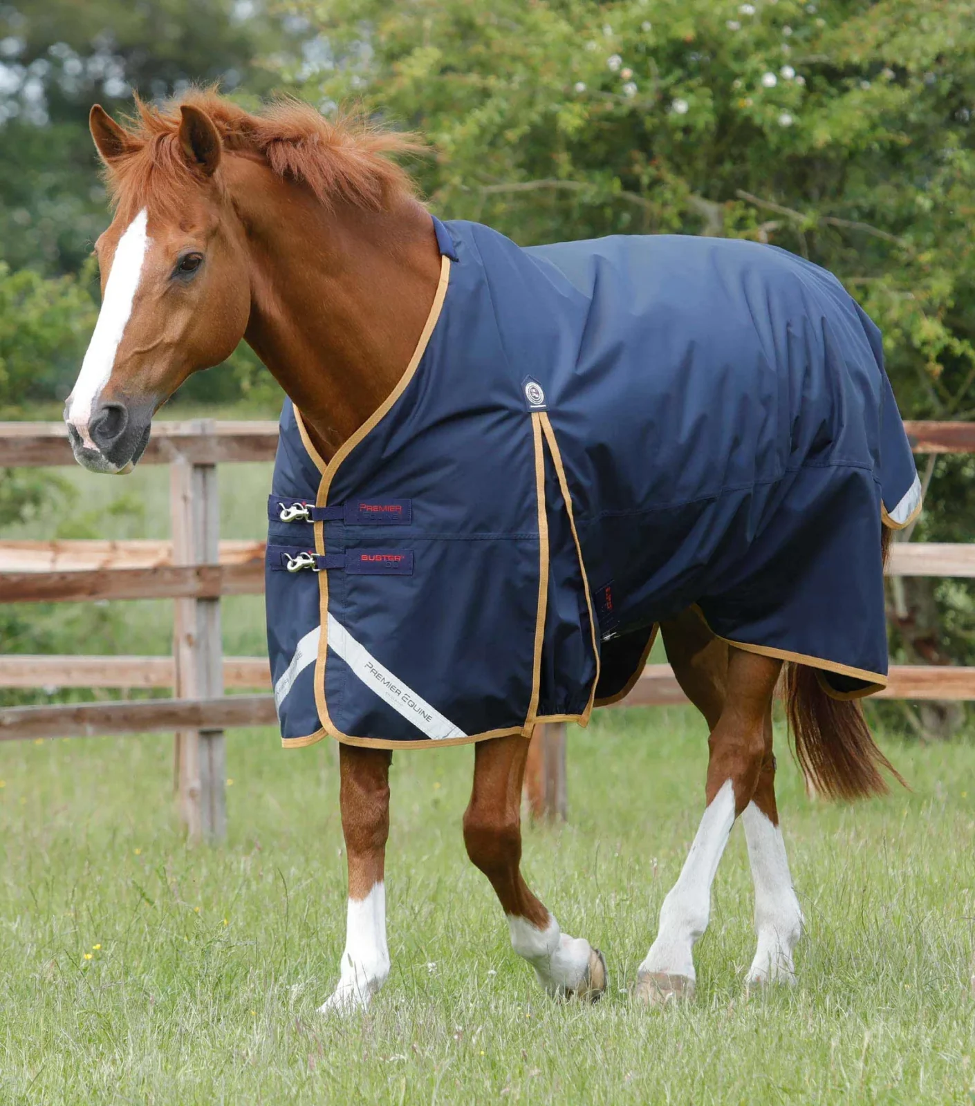 Premier Equine 50g Original Turnout Rug -Buster