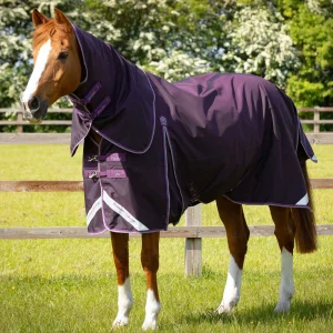 Premier Equine 70g Turnout Rug with Classic Neck Cover -Buster