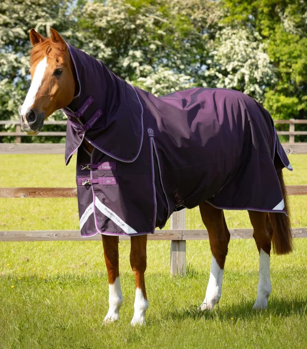 Premier Equine 70g Turnout Rug with Classic Neck Cover -Buster