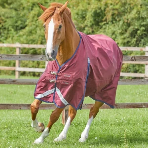 Premier Equine Buster Zero Original Turnout Rug